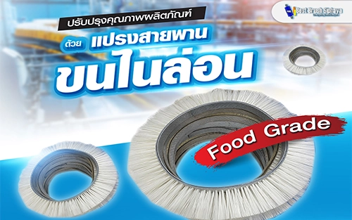 ปรับปรุงคุณภาพผลิตภัณฑ์ด้วยแปรงสายพานขนไนล่อน Food Grade