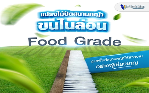 ดูแลพื้นสนามหญ้าให้สวยงามด้วยแปรงไม้ปัดสนามหญ้าขนไนล่อน Food Grade